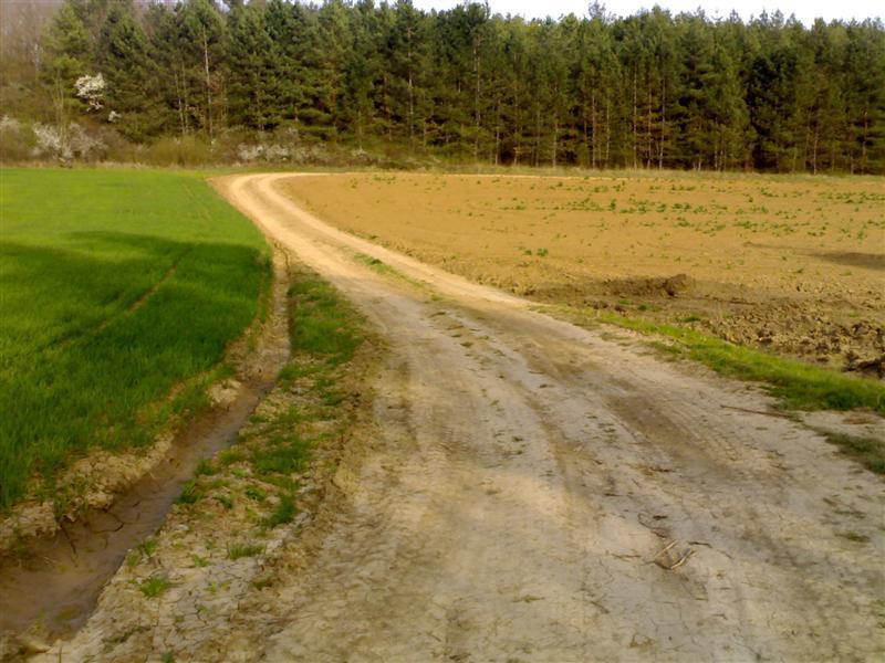 200704091828 .jpg
